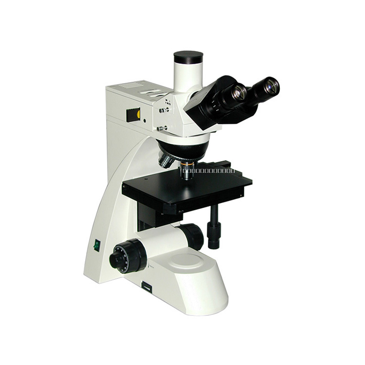 金相顯微鏡圖片